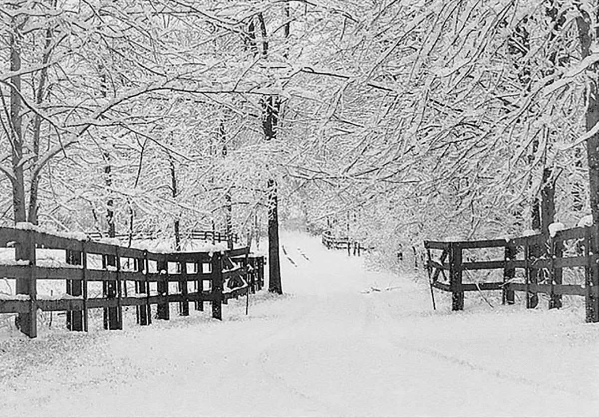 Peter Pauper Mini Box: Winter Tracks