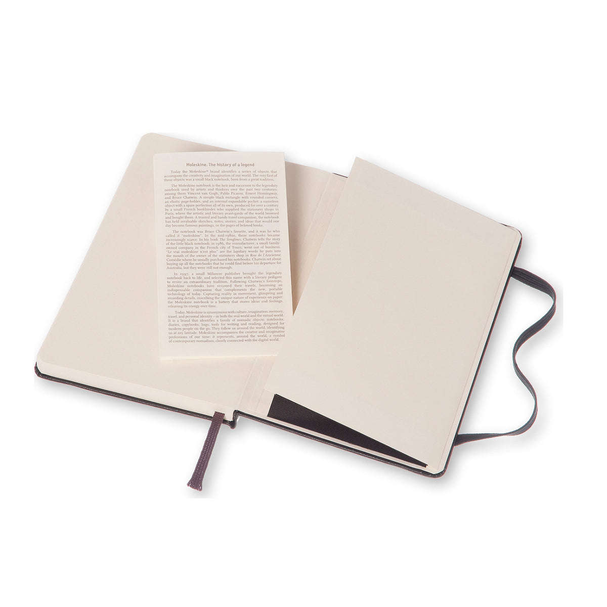 Moleskine - Classic Hard Cover Notebook - Dot Grid - Pocket - Black