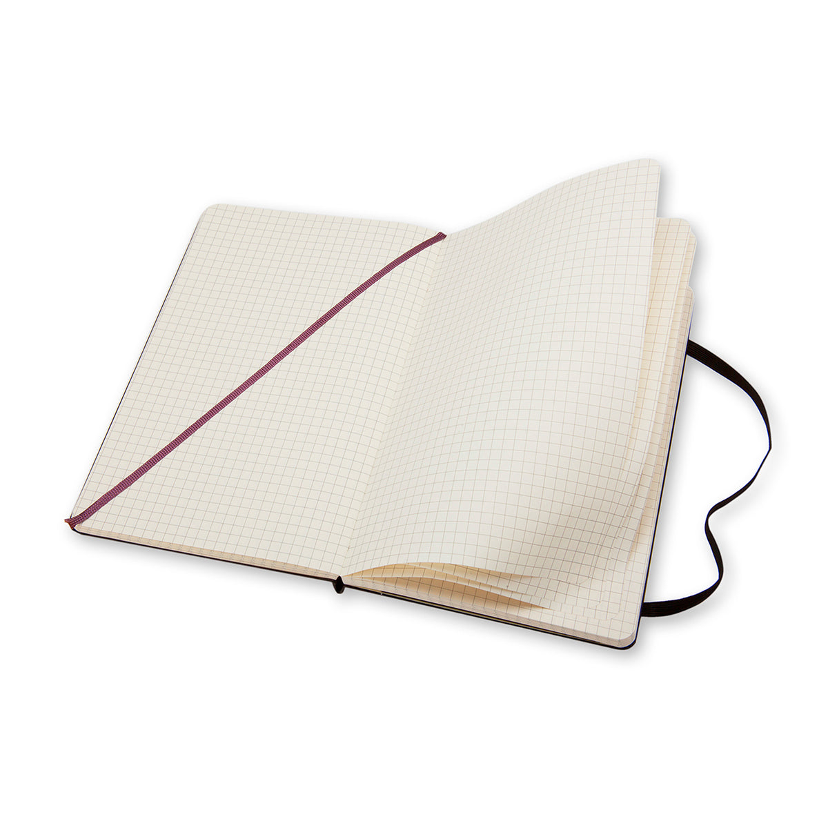 Moleskine - Classic Hard Cover Notebook - Grid - Large - Black
