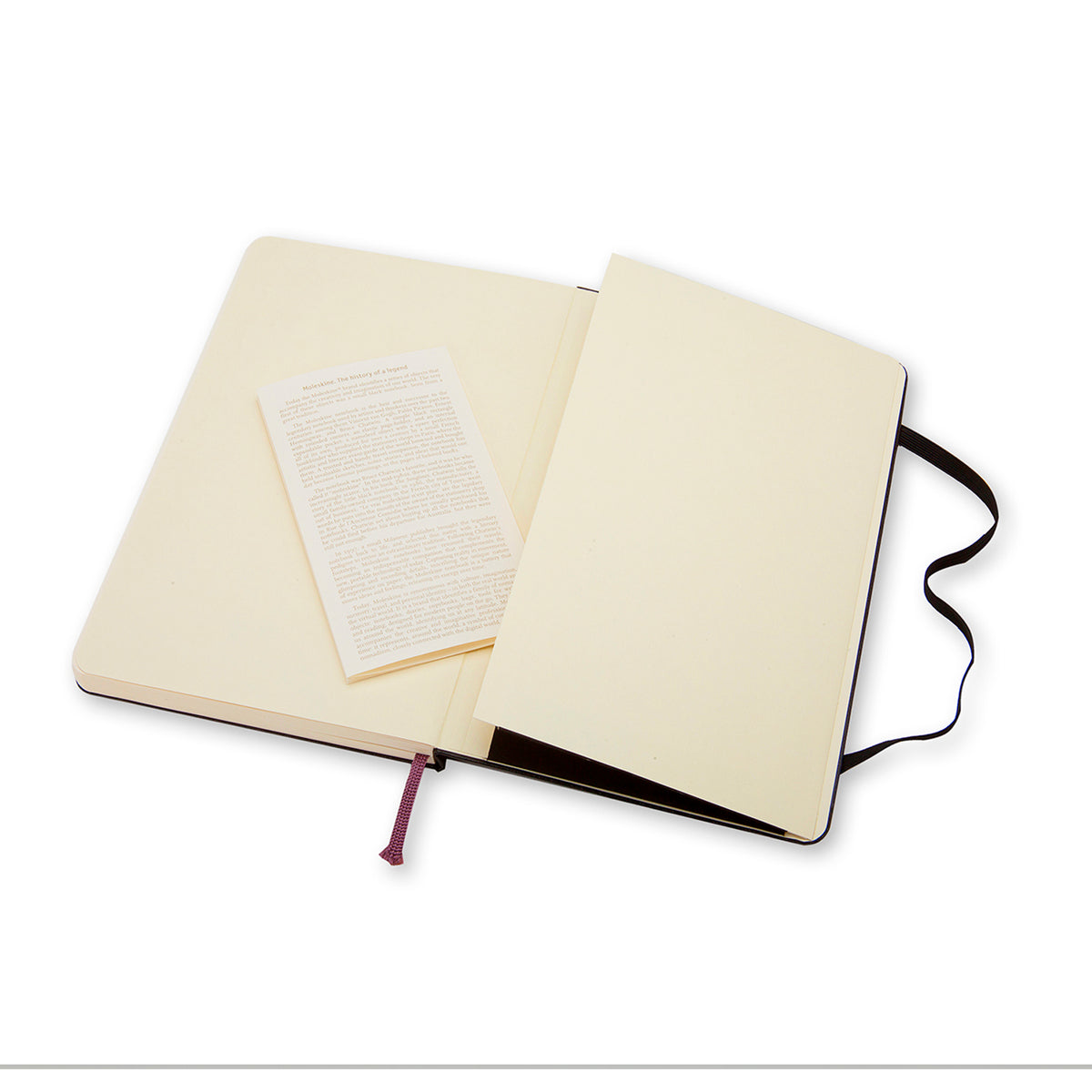 Moleskine - Classic Hard Cover Notebook - Plain - Large - Black