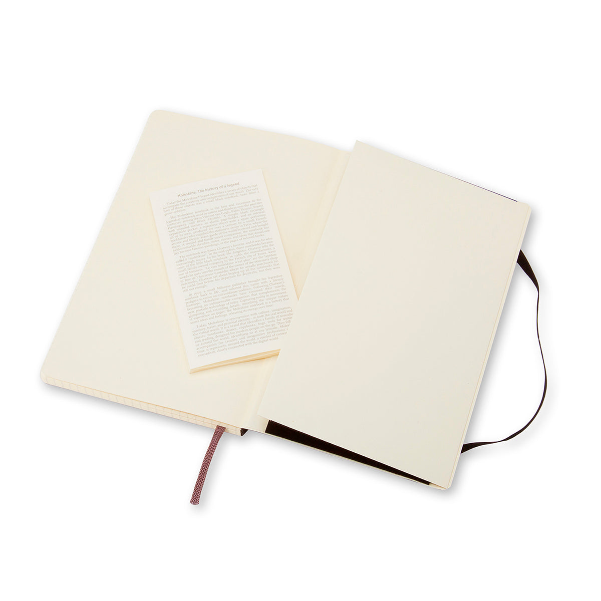 Moleskine - Classic Soft Cover Notebook - Grid - Large - Black