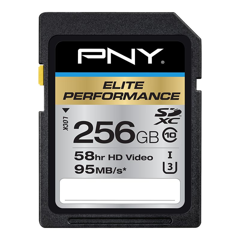 PNY SD Elite-X 256GB