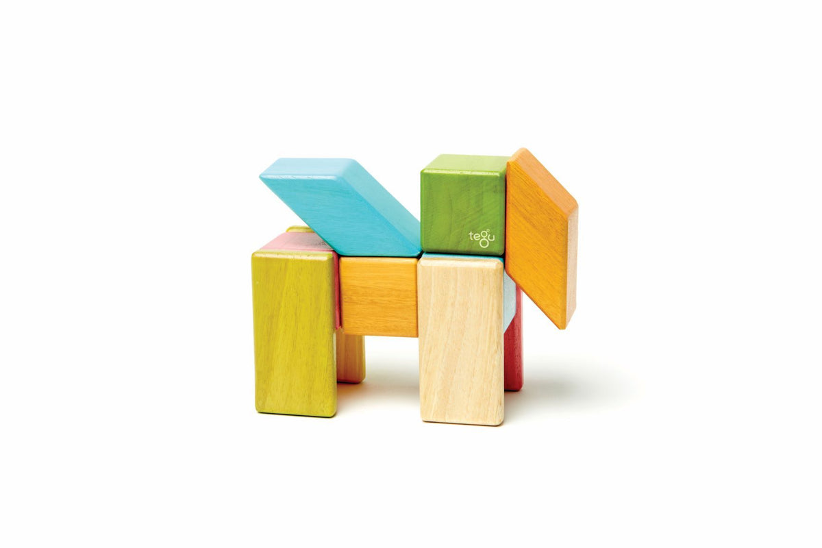 Tegu Magnetic Wooden Blocks - Classics 24 Pieces