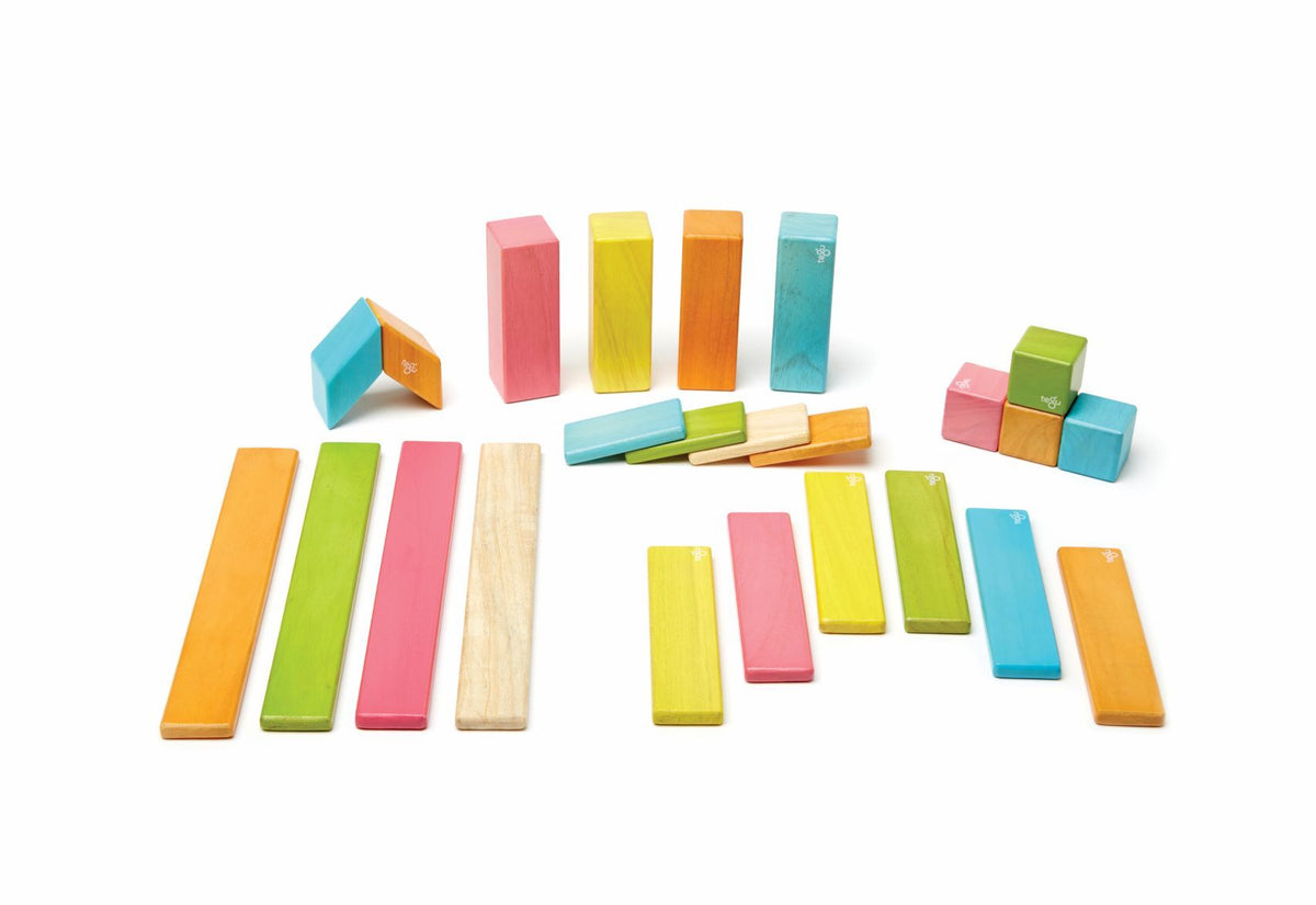 Tegu Magnetic Wooden Blocks - Classics 24 Pieces