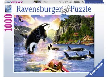 Close Encounters Puzzle 1000pc (Ravensburger Puzzle)